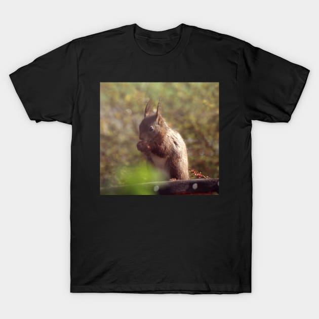 Red Squirrel T-Shirt by orcadia